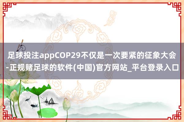 足球投注appCOP29不仅是一次要紧的征象大会-正规赌足球的软件(中国)官方网站_平台登录入口