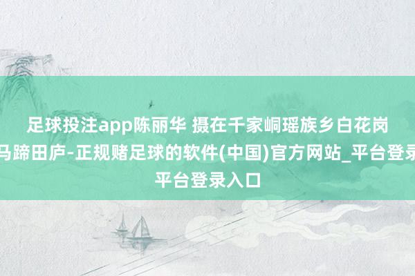 足球投注app陈丽华 摄　　在千家峒瑶族乡白花岗村的马蹄田庐-正规赌足球的软件(中国)官方网站_平台登录入口