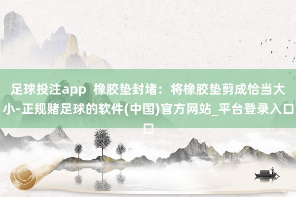 足球投注app  橡胶垫封堵：将橡胶垫剪成恰当大小-正规赌足球的软件(中国)官方网站_平台登录入口