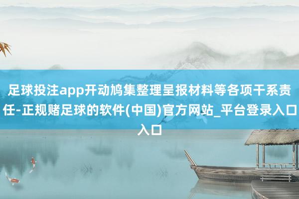 足球投注app开动鸠集整理呈报材料等各项干系责任-正规赌足球的软件(中国)官方网站_平台登录入口