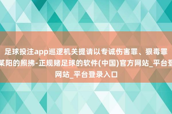 足球投注app巡逻机关提请以专诚伤害罪、狠毒罪讲究贺某阳的照拂-正规赌足球的软件(中国)官方网站_平台登录入口