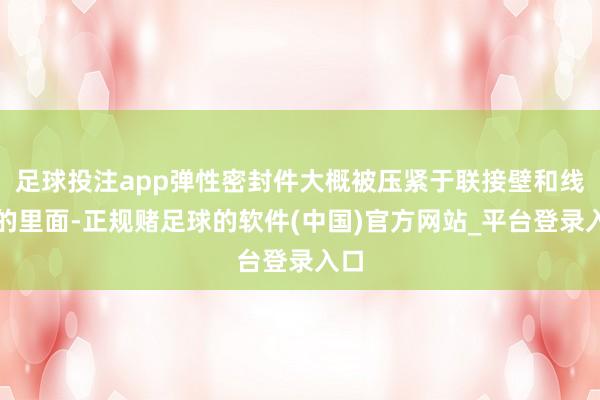 足球投注app弹性密封件大概被压紧于联接壁和线孔的里面-正规赌足球的软件(中国)官方网站_平台登录入口