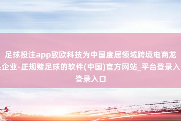 足球投注app致欧科技为中国度居领域跨境电商龙头企业-正规赌足球的软件(中国)官方网站_平台登录入口
