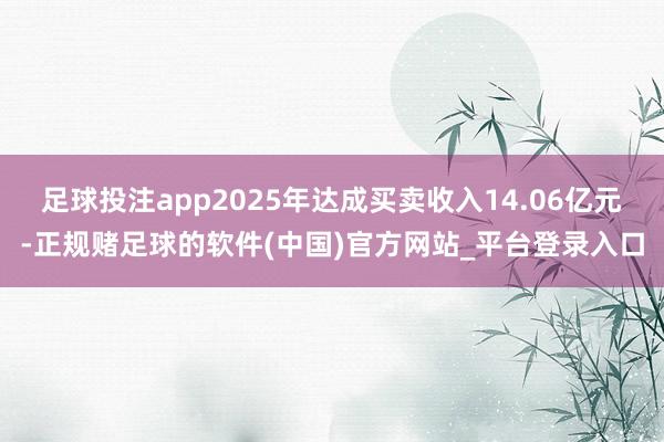 足球投注app2025年达成买卖收入14.06亿元-正规赌足球的软件(中国)官方网站_平台登录入口