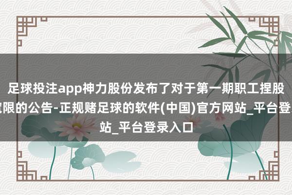 足球投注app神力股份发布了对于第一期职工捏股筹备宽限的公告-正规赌足球的软件(中国)官方网站_平台登录入口