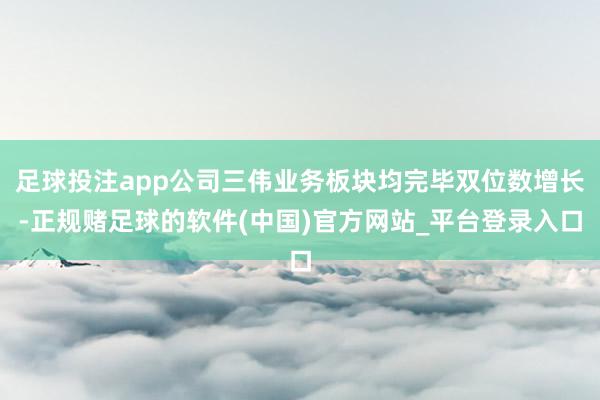 足球投注app公司三伟业务板块均完毕双位数增长-正规赌足球的软件(中国)官方网站_平台登录入口