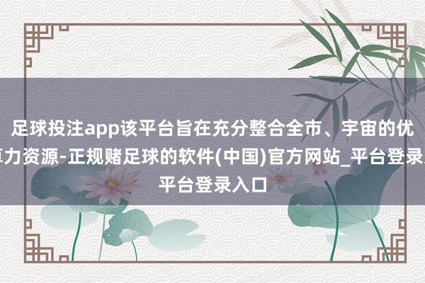 足球投注app该平台旨在充分整合全市、宇宙的优质算力资源-正规赌足球的软件(中国)官方网站_平台登录入口
