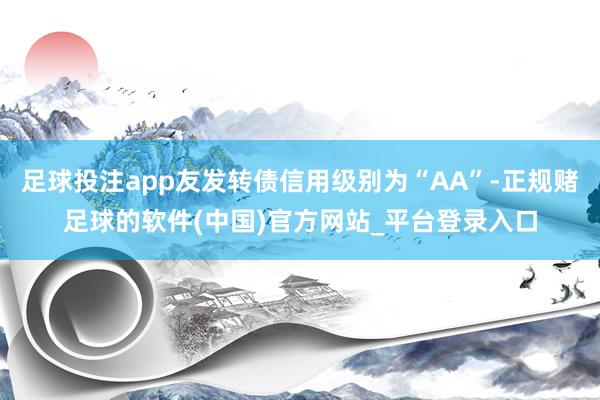 足球投注app友发转债信用级别为“AA”-正规赌足球的软件(中国)官方网站_平台登录入口