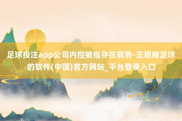 足球投注app公司内控被指存在弱势-正规赌足球的软件(中国)官方网站_平台登录入口