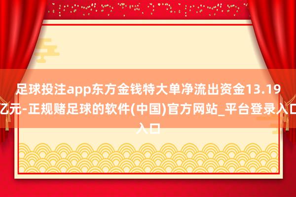 足球投注app东方金钱特大单净流出资金13.19亿元-正规赌足球的软件(中国)官方网站_平台登录入口