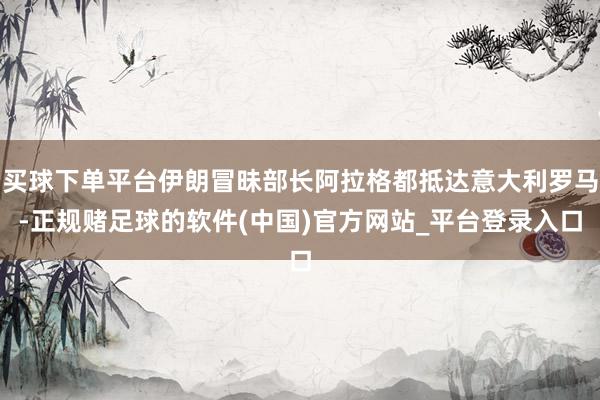 买球下单平台伊朗冒昧部长阿拉格都抵达意大利罗马-正规赌足球的软件(中国)官方网站_平台登录入口