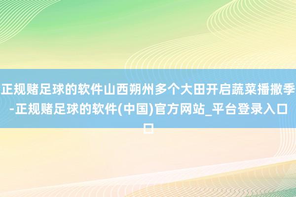 正规赌足球的软件山西朔州多个大田开启蔬菜播撒季-正规赌足球的软件(中国)官方网站_平台登录入口