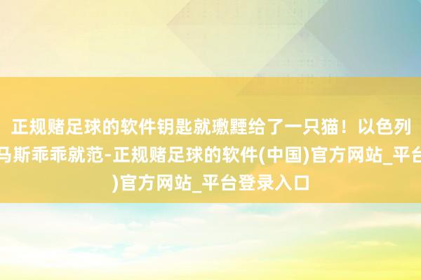 正规赌足球的软件钥匙就璷黫给了一只猫！以色列为了让哈马斯乖乖就范-正规赌足球的软件(中国)官方网站_平台登录入口