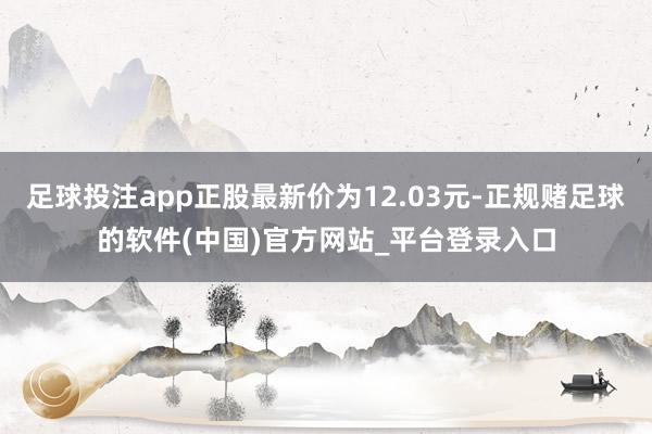 足球投注app正股最新价为12.03元-正规赌足球的软件(中国)官方网站_平台登录入口