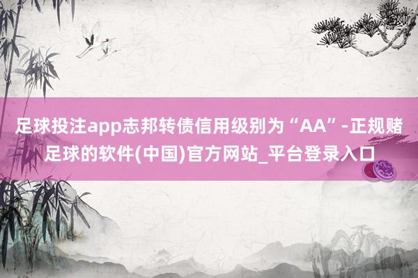 足球投注app志邦转债信用级别为“AA”-正规赌足球的软件(中国)官方网站_平台登录入口