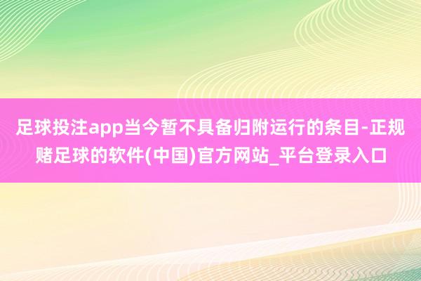 足球投注app当今暂不具备归附运行的条目-正规赌足球的软件(中国)官方网站_平台登录入口