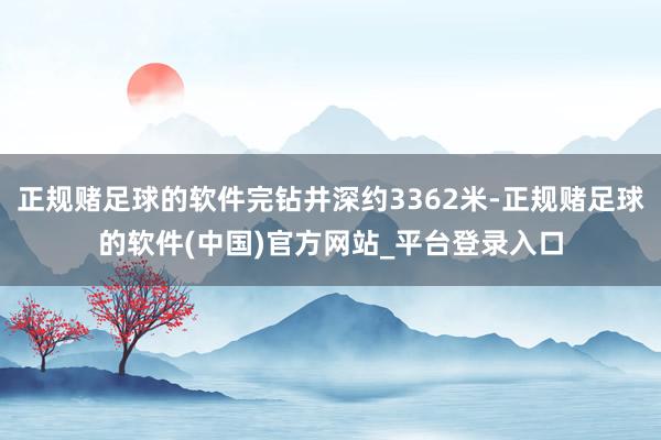 正规赌足球的软件完钻井深约3362米-正规赌足球的软件(中国)官方网站_平台登录入口