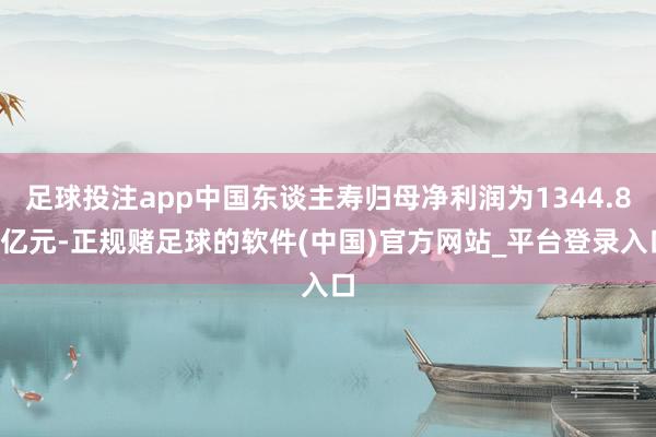 足球投注app中国东谈主寿归母净利润为1344.89亿元-正规赌足球的软件(中国)官方网站_平台登录入口