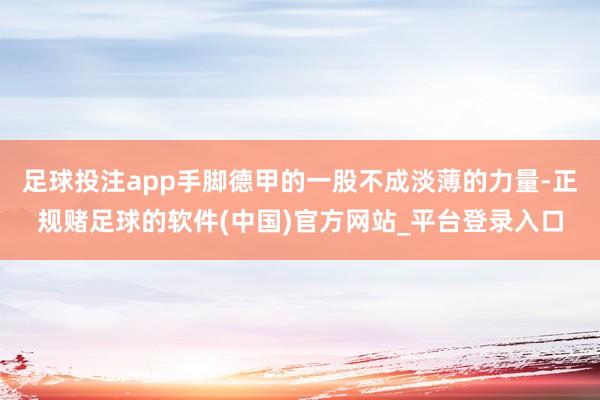 足球投注app手脚德甲的一股不成淡薄的力量-正规赌足球的软件(中国)官方网站_平台登录入口
