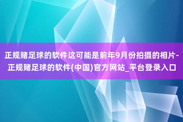 正规赌足球的软件这可能是前年9月份拍摄的相片-正规赌足球的软件(中国)官方网站_平台登录入口