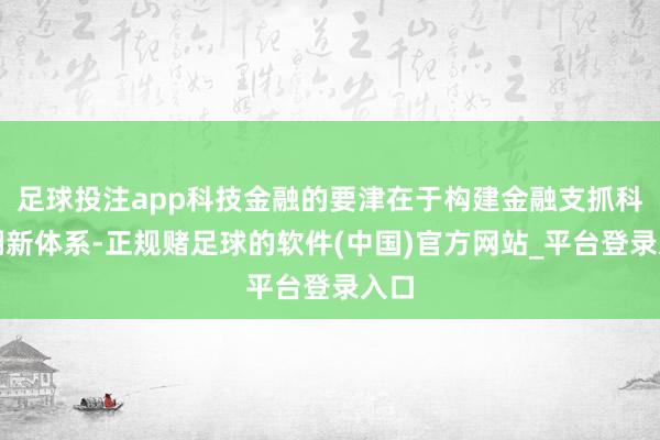 足球投注app科技金融的要津在于构建金融支抓科技翻新体系-正规赌足球的软件(中国)官方网站_平台登录入口