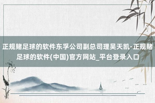正规赌足球的软件东孚公司副总司理吴天凯-正规赌足球的软件(中国)官方网站_平台登录入口