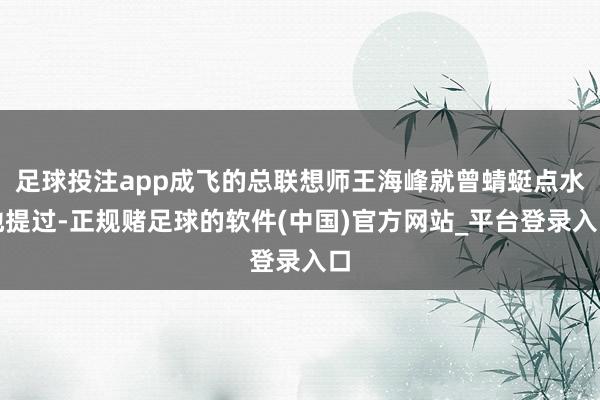 足球投注app成飞的总联想师王海峰就曾蜻蜓点水地提过-正规赌足球的软件(中国)官方网站_平台登录入口