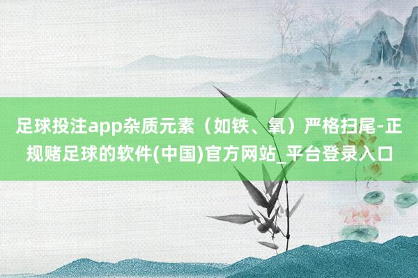 足球投注app杂质元素（如铁、氧）严格扫尾-正规赌足球的软件(中国)官方网站_平台登录入口